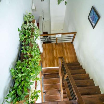 Dsc09774