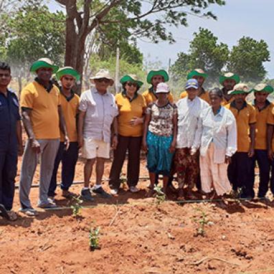 Our Staff In The Plantation